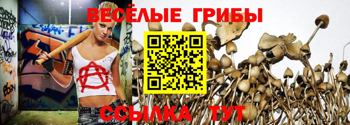 Галлюциногенные грибы прущие грибы  Вход с VPN  Спасск-Дальний 