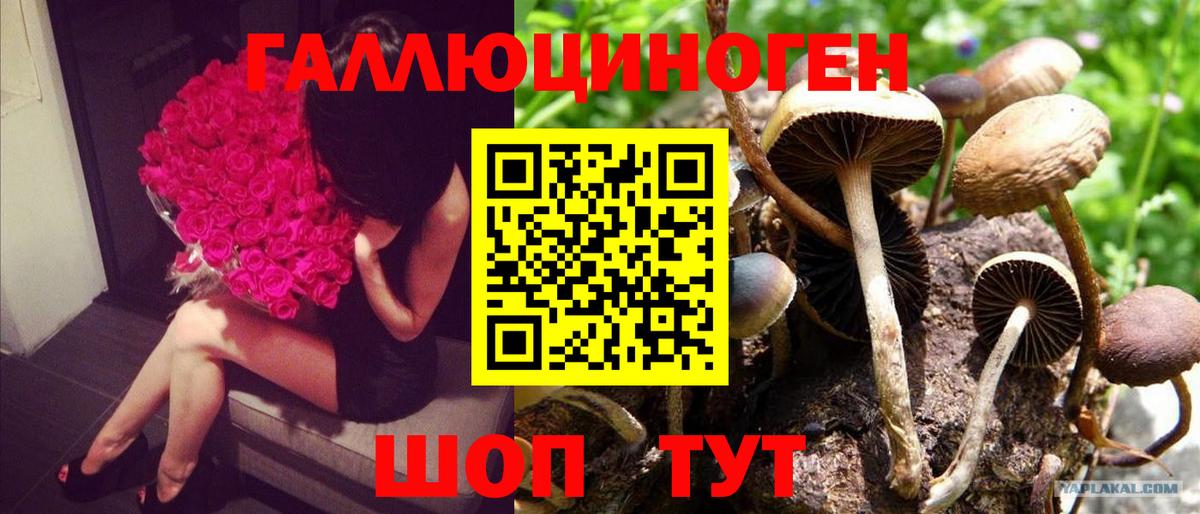 Псилоцибиновые грибы Magic Shrooms Спасск-Дальний